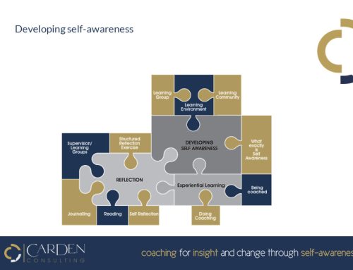 Julia Carden’s jigsaw model for self-awareness