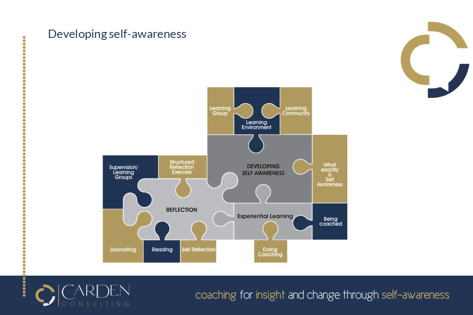 Julia Carden Self Awareness Jigsaw Julia Carden Self Awareness Jigsaw